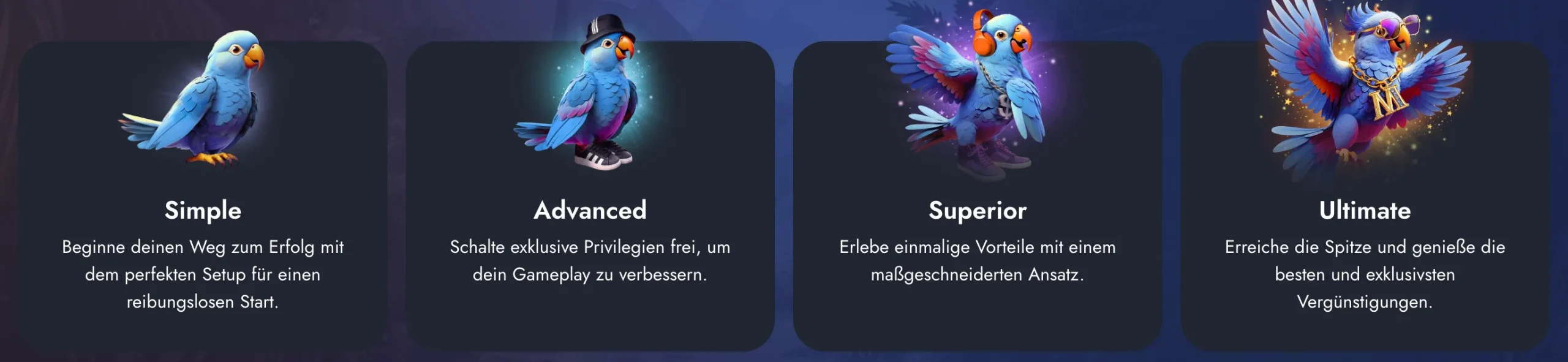 Martin Casino VIP-Programm und exklusive Loyalitätsprämien